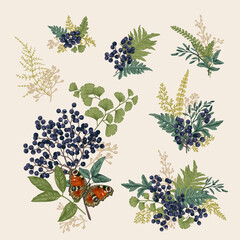 Set with leafy green bouquets and berries. Floral composition with a butterfly. Vintage vector elements. Colorful.