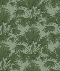 Seamless pattern with sabal palm bushes. Green lush leaves. Natural background. - 743273892
