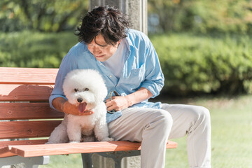 犬の散歩をする愛犬家の中高年男性・ドッグセラピー（キス・舐める・挨拶）
