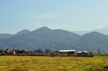 landscape of farm in the countryside