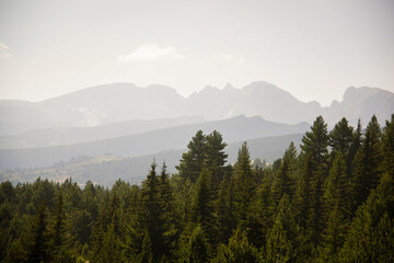 Fototapeta premium Mountains in Bulgaria