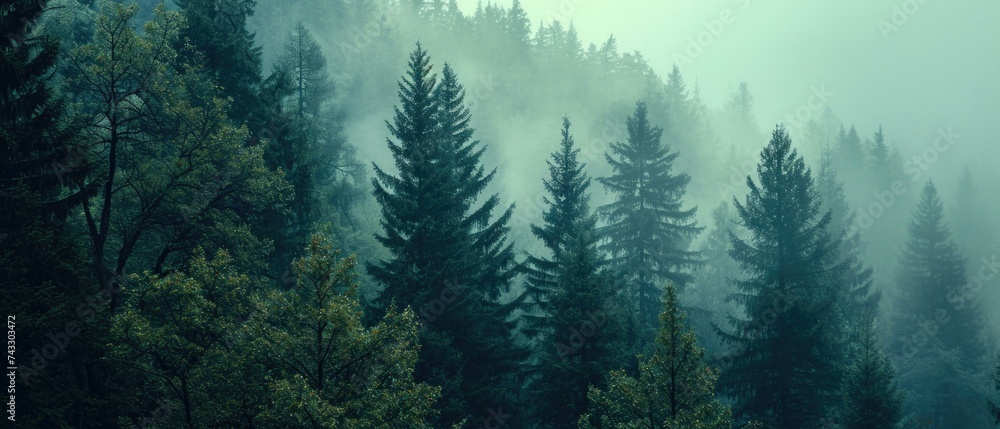 Poster a forest with trees and fog in the background. generative ai.