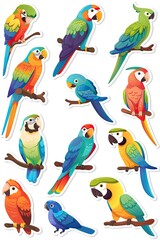Parrot Sticker Collection
