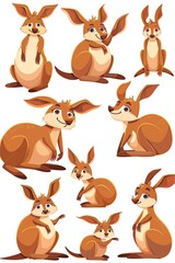 Kangaroo Sticker Collection