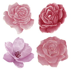 hand drawn watercolor flower floral element pack