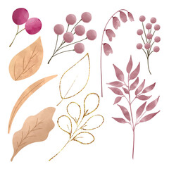hand drawn watercolor leaves floral element pack