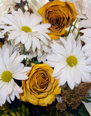 White daisies and dried yellow roses arrrangement. - 743311497