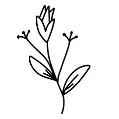 hand drawn spring flowers