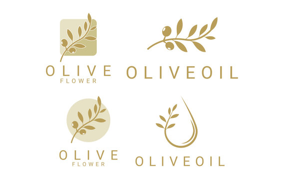 Olive oil logo design concept. Olive oil logo design set collection