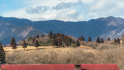 빨간 지붕 뒤에 있는 동산
