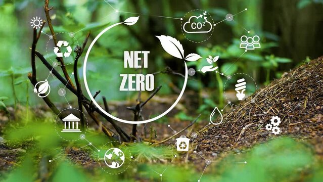 Net zero and carbon neutral concept. Net zero greenhouse gas emissions target. Climate neutral long term strategy on a green background.4k corporate video