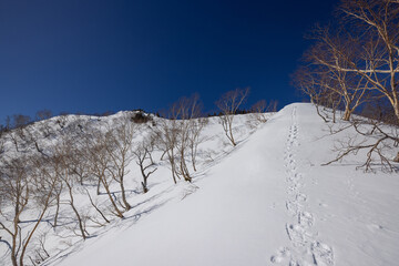 快晴の雪山登山