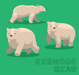 Bear Kermode Bear Cartoon Vector Illustration