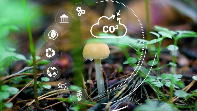 CO2 reduce concept.Infographic with icons.Reduction of carbon emissions, carbon neutral concept. Net zero greenhouse gas emissions target. Reducing carbon footprint concept. Digital icons. 4K