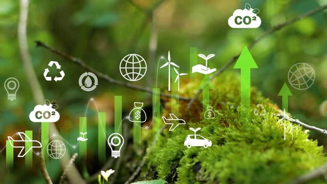 CO2 reduce concept.Infographic with icons.Reduction of carbon emissions, carbon neutral concept. Net zero greenhouse gas emissions target. Reducing carbon footprint concept. 4K