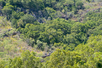 Explore the raw beauty of the Northern Territory's rugged Outback, where rocky terrain meets endless horizons in a mesmerizing landscape.