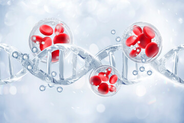 growth factor and molecule