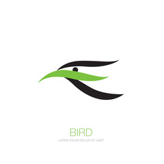 The bird logo design vector illustration