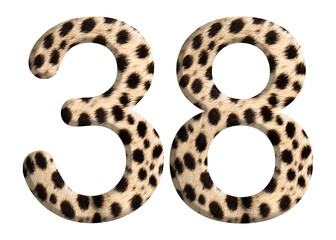 The shape of the number 38 is made of cheetah fur or skin isolated on transparent background. Suitable for birthday, anniversary and Memorial Day templates