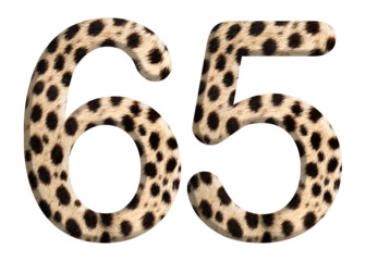 The shape of the number 65 is made of cheetah fur or skin isolated on transparent background. Suitable for birthday, anniversary and Memorial Day templates