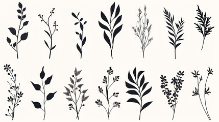 This elegant collection of hand-drawn botanical elements includes various types of leaves, flowers and plants in detailed