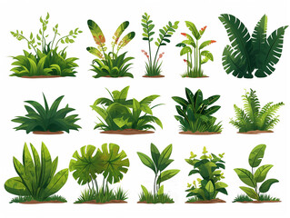 Rainforest vegetation set flat design isolated style illustration - obrazy, fototapety, plakaty
