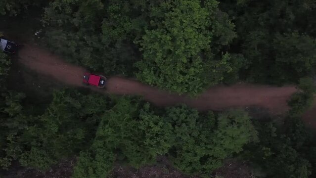 booguies in the sand in paradise beach in caribbean 