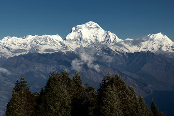 Dhaulagiri mountain range snowpeaks in Nepal, view from Poonhill.