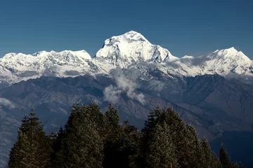 Photo sur Plexiglas Dhaulagiri Dhaulagiri mountain range snowpeaks in Nepal, view from Poonhill.