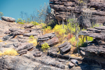 Rugged scenery in Outback Australia, with red dust plains, dramatic rock formations, and vast, open...