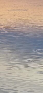 Fondo - reflejos del atardecer en el r&iacute;o manso. 