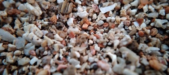 Close-up of a small pile of sand on a beach.