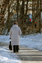 A woman walks with her dog on the sidewalk on a winter day