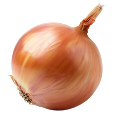 Closeup of onion on transparency background PNG
