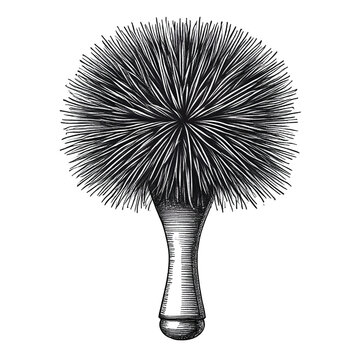 recommend clip art: Hairbrush engraved style ink sketch drawing, black and white vector illustration