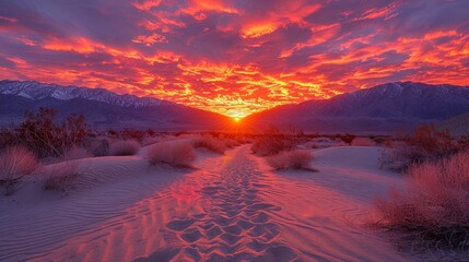 An Awe-Inspiring Sunset Over The Desert, Background Image, Background For Banner, HD