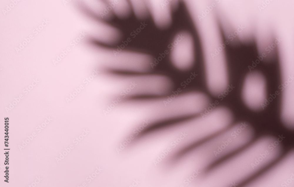 Poster blurred palm fronds in soft light creating a dreamlike pattern