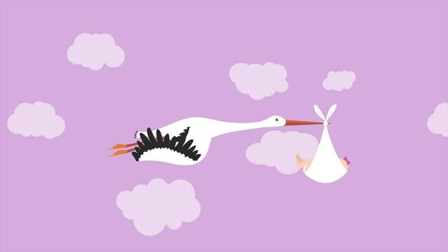 Flying stork delivering baby girl on pink background animation, it's a girl newborn celebration