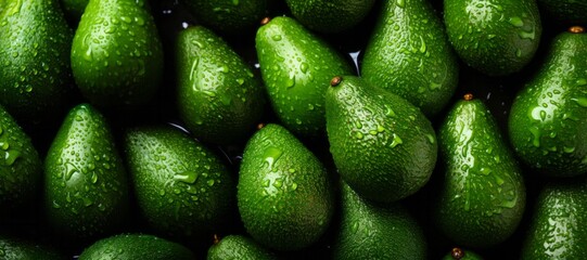 Harvest of green washed avocados close-up. Organic healthy food concept without GMO, banner - obrazy, fototapety, plakaty