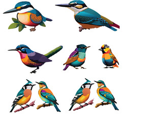 Obraz premium set of colorful birds