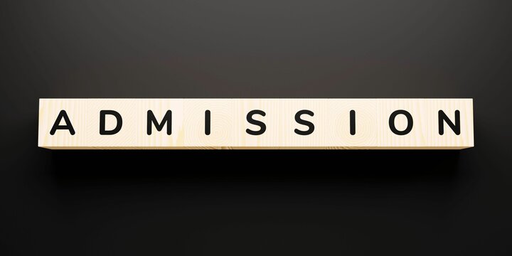 Word "ADMISSION" made with wood building blocks.