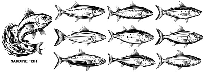 set collections sardine icon monochrome logo design vector illustration
