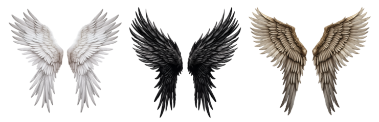 Set of white black, ancient relic historical bonze, angel devil wings on transparent background cutout, PNG file. Mockup template for artwork graphic design