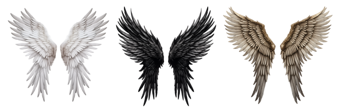 Set of white black, ancient relic historical bonze, angel devil wings on transparent background cutout, PNG file. Mockup template for artwork graphic design - Powered by Adobe