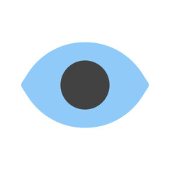 eyes flat icon