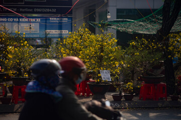 Traditional Tet of Vietnamese people has sacred and beautiful things in the hearts of Saigon...