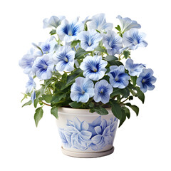 Blue Petunia Flowers in Pot Isolated on Transparent Background
