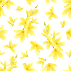 Forsythia yellow flowers on white background seamless pattern. Vector cartoon illustration. Golden-bell tree. Spring blooming.