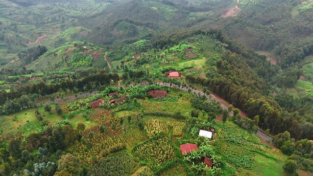 Beautiful Houses on mountain. Green mountains view from sky with drone camera, Road on the side of mountains. Houses and fields on mountains view from the sky with drone camera.