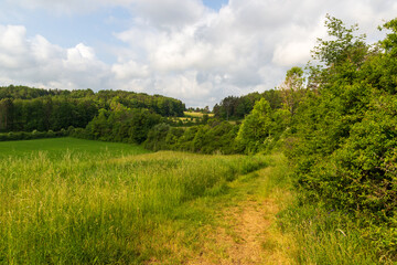 Rural scene with hill panorama, fields and forest with trees near Obertrubach in Franconian Switzerland, Germany